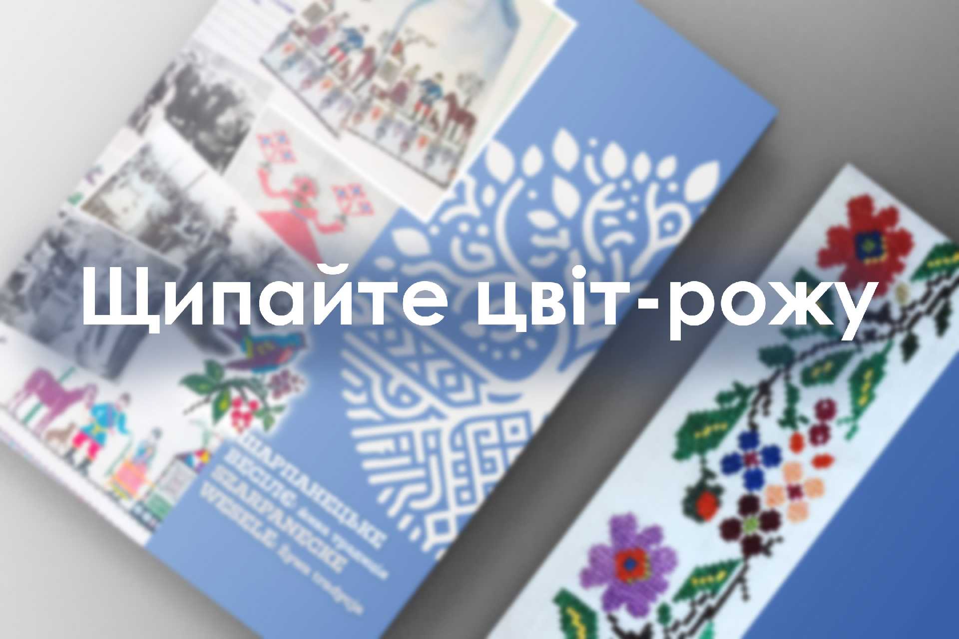 Щипайте цвіт-рожу