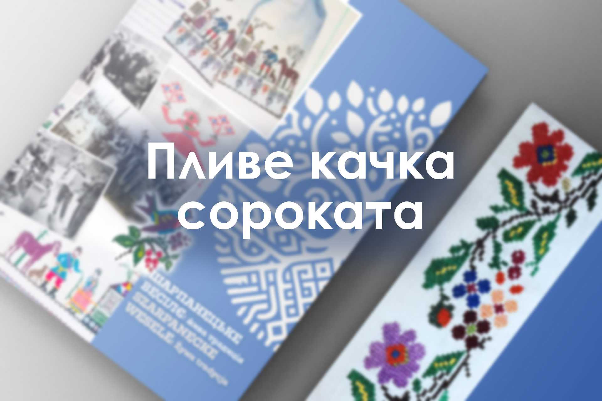 Пливе качка сороката